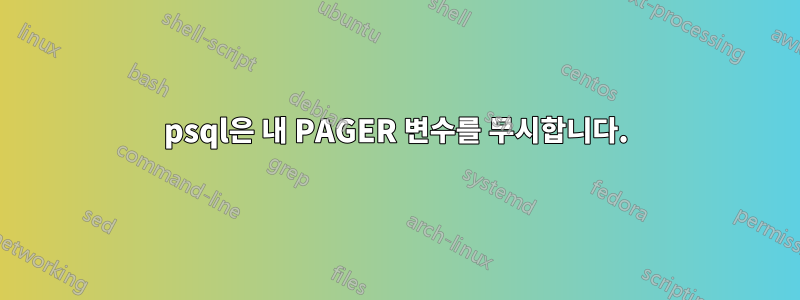 psql은 내 PAGER 변수를 무시합니다.