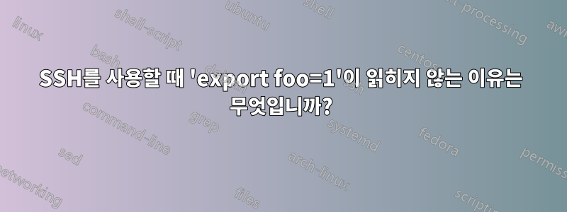 SSH를 사용할 때 'export foo=1'이 읽히지 않는 이유는 무엇입니까?