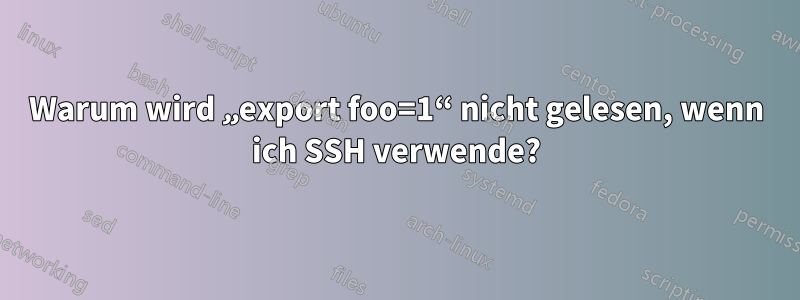 Warum wird „export foo=1“ nicht gelesen, wenn ich SSH verwende?