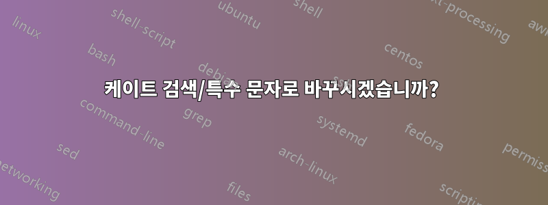 케이트 검색/특수 문자로 바꾸시겠습니까?