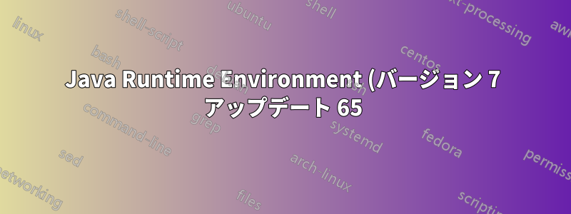 Java Runtime Environment (バージョン 7 アップデート 65) をインストールできません