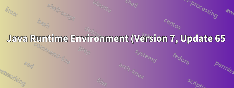 Java Runtime Environment (Version 7, Update 65) kann nicht installiert werden