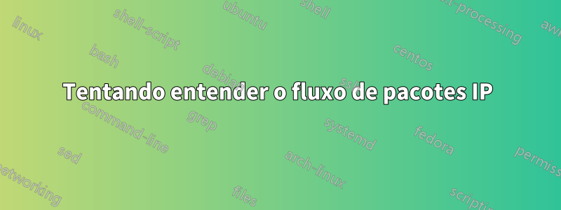 Tentando entender o fluxo de pacotes IP