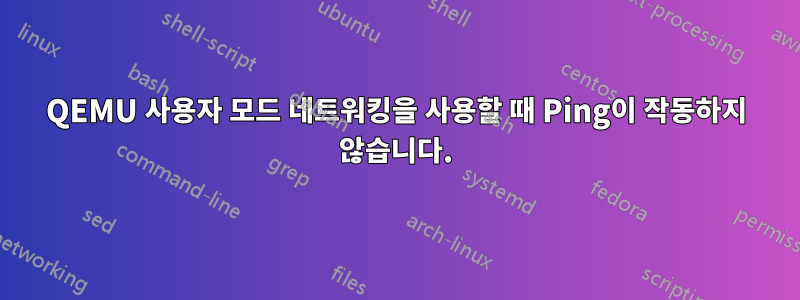 QEMU 사용자 모드 네트워킹을 사용할 때 Ping이 작동하지 않습니다.