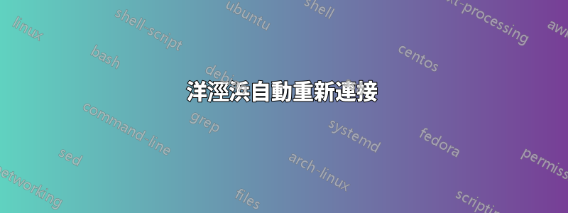 洋涇浜自動重新連接