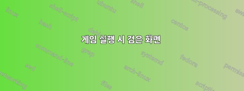 게임 실행 시 검은 화면