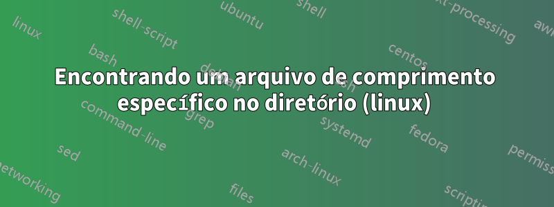 Encontrando um arquivo de comprimento específico no diretório (linux)