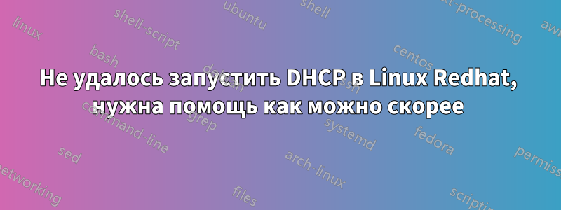 Не удалось запустить DHCP в Linux Redhat, нужна помощь как можно скорее