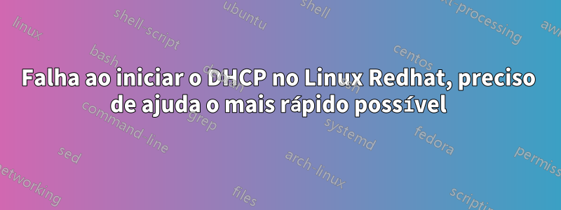 Falha ao iniciar o DHCP no Linux Redhat, preciso de ajuda o mais rápido possível