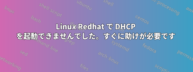 Linux Redhat で DHCP を起動できませんでした。すぐに助けが必要です