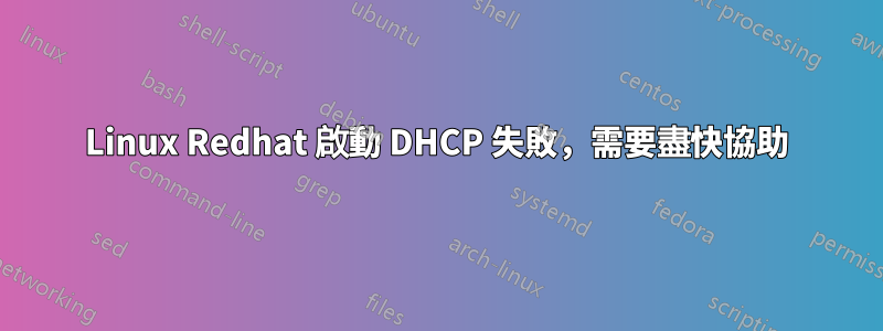 Linux Redhat 啟動 DHCP 失敗，需要盡快協助