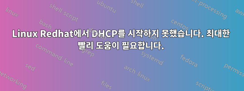 Linux Redhat에서 DHCP를 시작하지 못했습니다. 최대한 빨리 도움이 필요합니다.