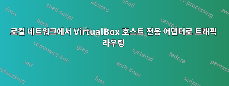 로컬 네트워크에서 VirtualBox 호스트 전용 어댑터로 트래픽 라우팅