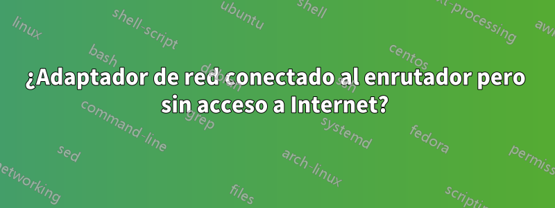 ¿Adaptador de red conectado al enrutador pero sin acceso a Internet?