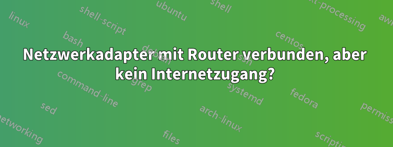 Netzwerkadapter mit Router verbunden, aber kein Internetzugang?