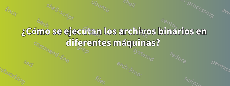 ¿Cómo se ejecutan los archivos binarios en diferentes máquinas? 