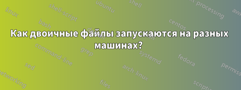 Как двоичные файлы запускаются на разных машинах? 