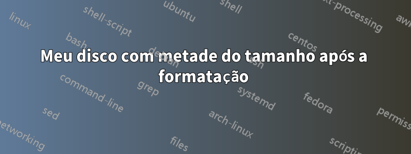 Meu disco com metade do tamanho após a formatação