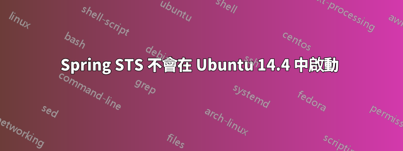 Spring STS 不會在 Ubuntu 14.4 中啟動