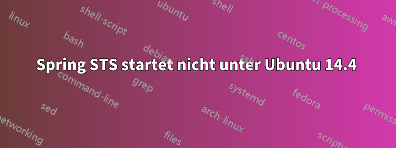 Spring STS startet nicht unter Ubuntu 14.4