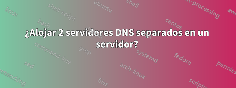 ¿Alojar 2 servidores DNS separados en un servidor?