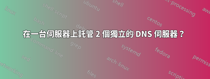 在一台伺服器上託管 2 個獨立的 DNS 伺服器？