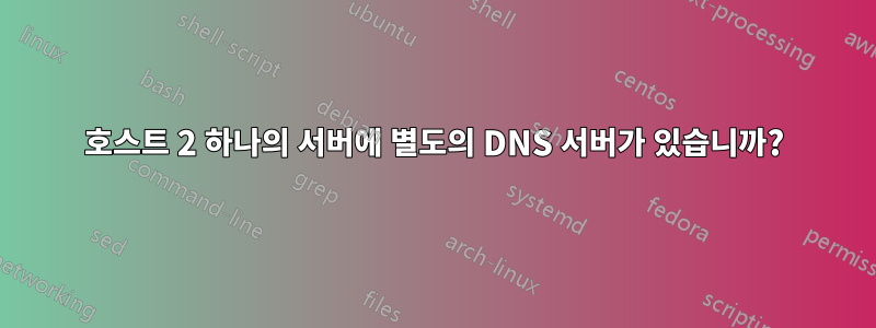 호스트 2 하나의 서버에 별도의 DNS 서버가 있습니까?