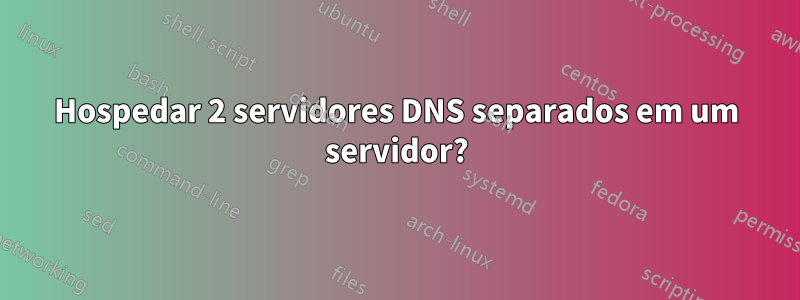 Hospedar 2 servidores DNS separados em um servidor?