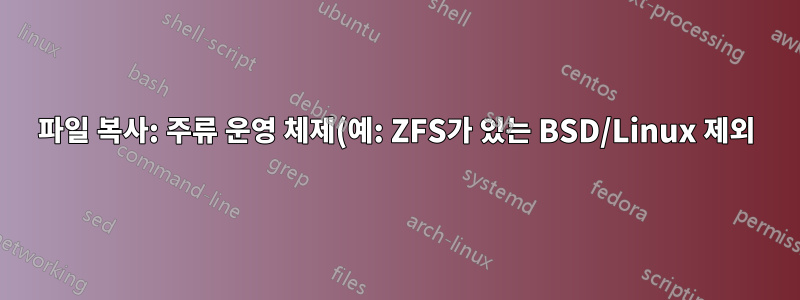 파일 복사: 주류 운영 체제(예: ZFS가 있는 BSD/Linux 제외)에서 파일을 이동할 때 해시 파일을 사용합니까?