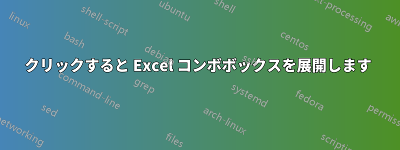 クリックすると Excel コンボボックスを展開します