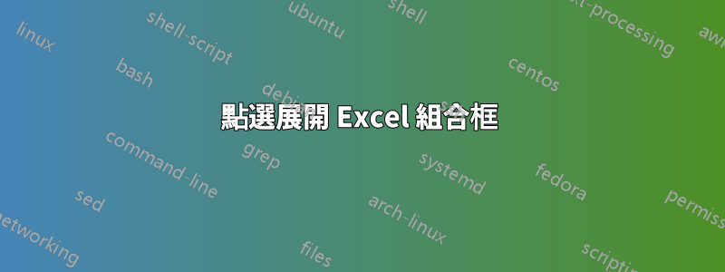 點選展開 Excel 組合框