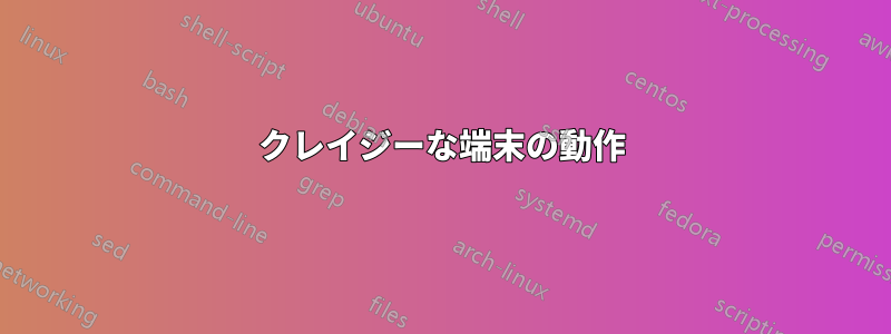 クレイジーな端末の動作