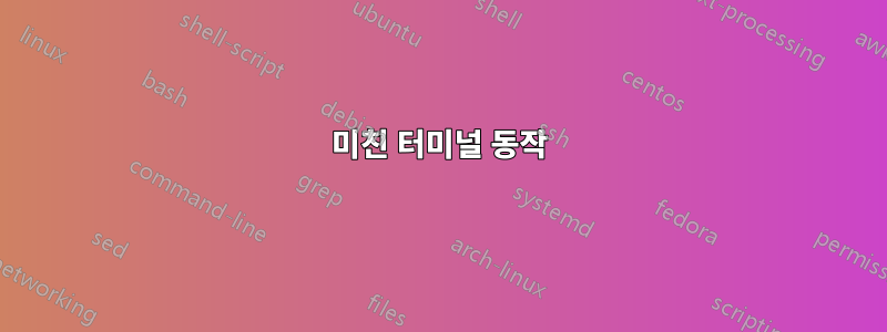 미친 터미널 동작