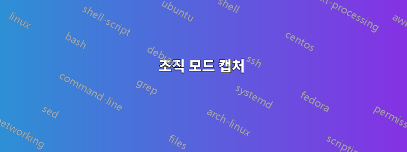 조직 모드 캡처