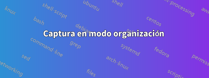 Captura en modo organización