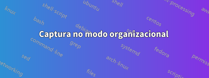 Captura no modo organizacional