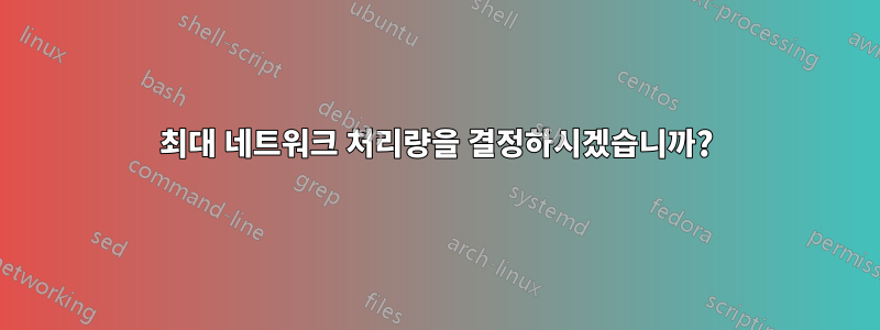 최대 네트워크 처리량을 결정하시겠습니까?