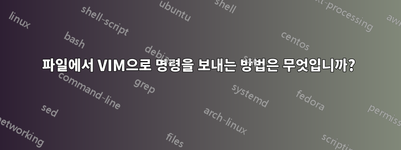 파일에서 VIM으로 명령을 보내는 방법은 무엇입니까?