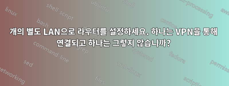 2개의 별도 LAN으로 라우터를 설정하세요. 하나는 VPN을 통해 연결되고 하나는 그렇지 않습니까?