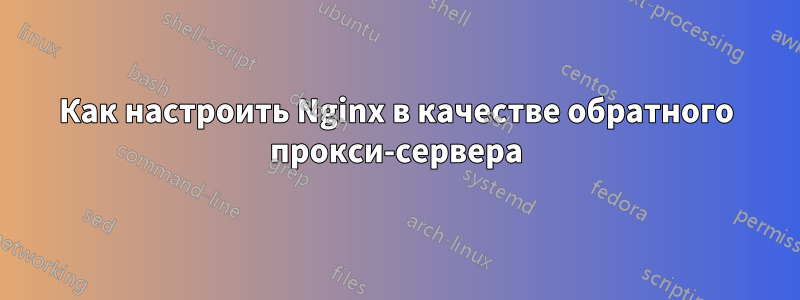 Как настроить Nginx в качестве обратного прокси-сервера