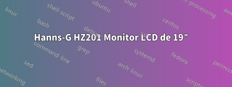 Hanns-G HZ201 Monitor LCD de 19" 