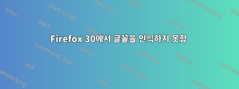 Firefox 30에서 글꼴을 인식하지 못함