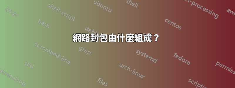 網路封包由什麼組成？