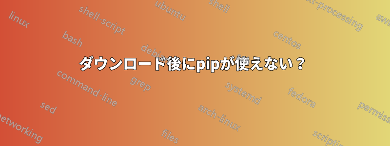 ダウンロード後にpipが使えない？