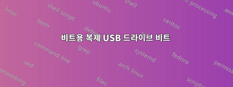 비트용 복제 USB 드라이브 비트