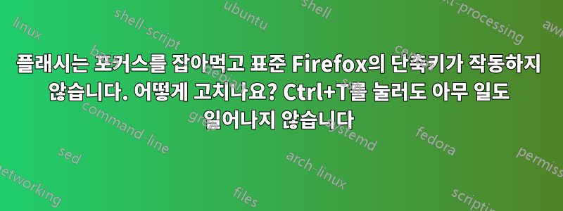 플래시는 포커스를 잡아먹고 표준 Firefox의 단축키가 작동하지 않습니다. 어떻게 고치나요? Ctrl+T를 눌러도 아무 일도 일어나지 않습니다