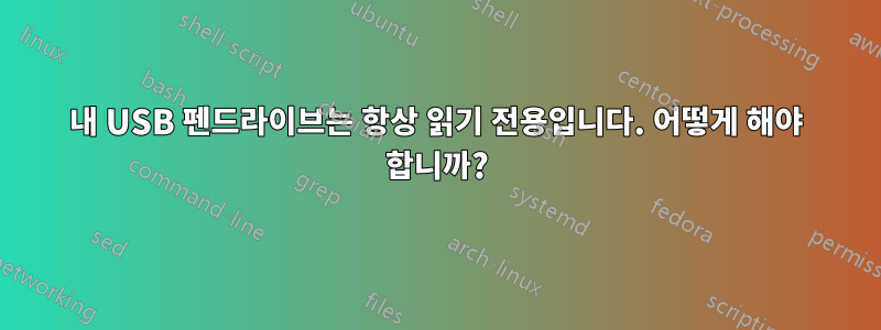 내 USB 펜드라이브는 항상 읽기 전용입니다. 어떻게 해야 합니까?