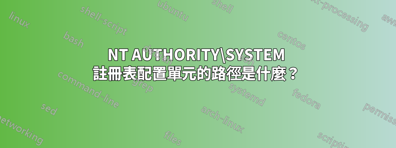 NT AUTHORITY\SYSTEM 註冊表配置單元的路徑是什麼？