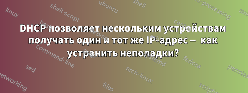 DHCP позволяет нескольким устройствам получать один и тот же IP-адрес — как устранить неполадки?