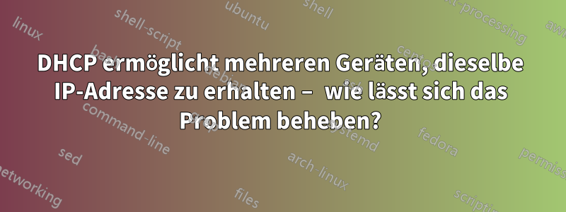 DHCP ermöglicht mehreren Geräten, dieselbe IP-Adresse zu erhalten – wie lässt sich das Problem beheben?